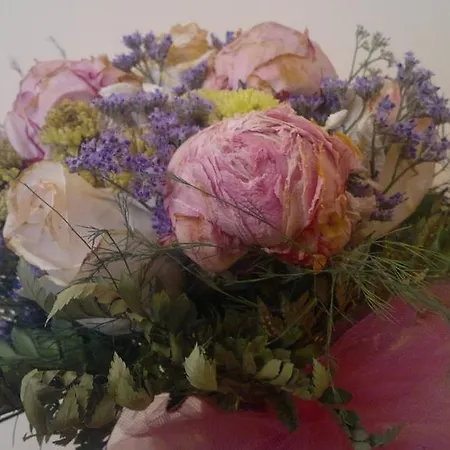 Apartamento Casa Mia A *